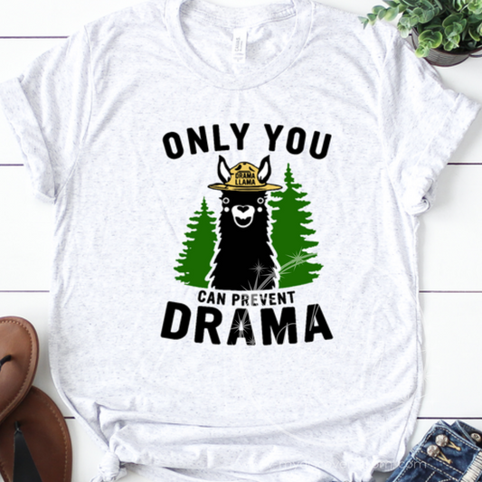 Only You Can Prevent Drama Graphic Tee