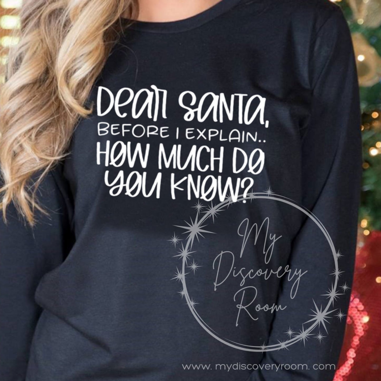 Dear Santa Before I Explain... Graphic Tee